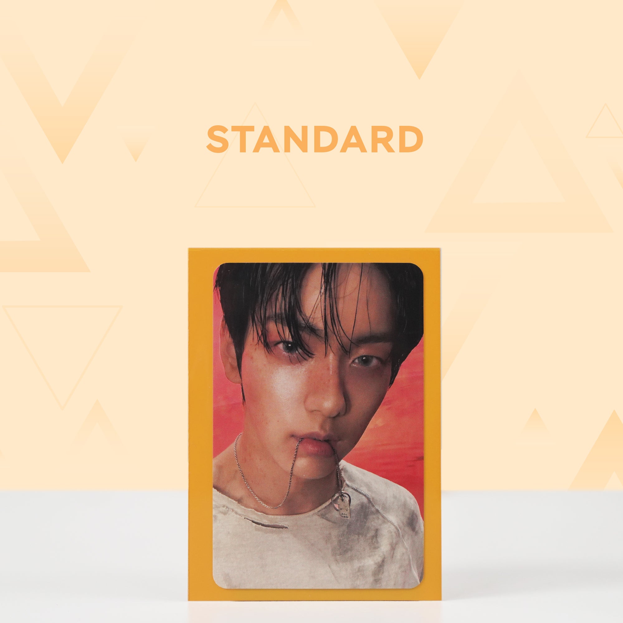 Premium+ Photocard Sleeves - Standard - Bunnies Colored